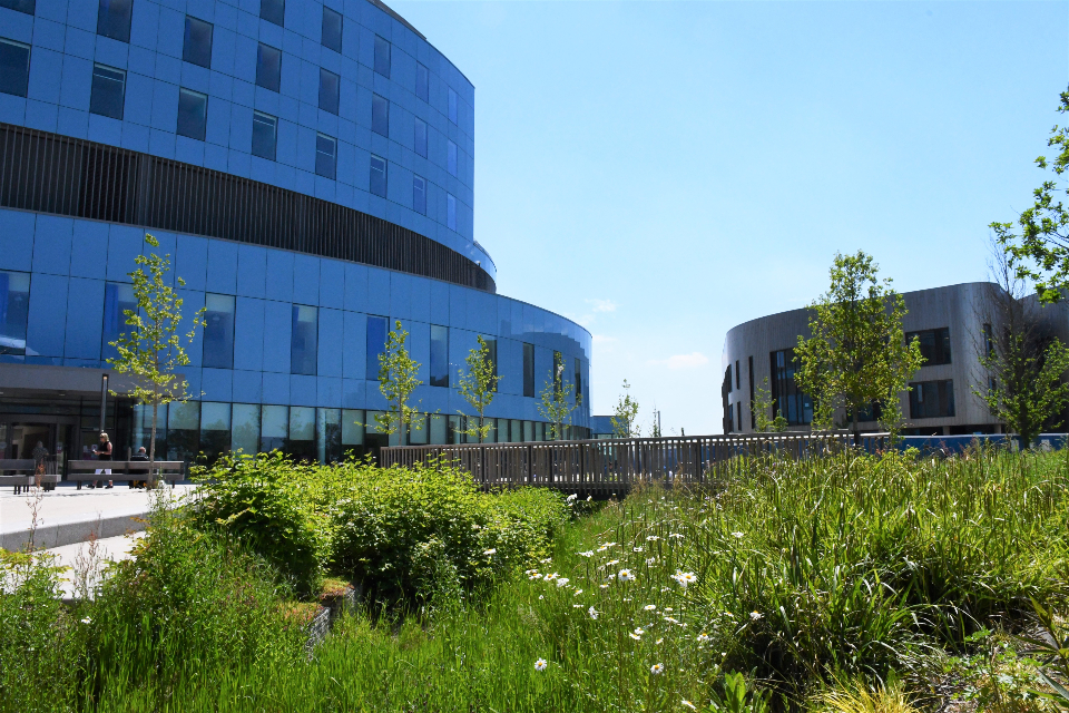 Providing sustainable healthcare at Royal Papworth Hospital