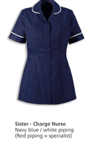 003-Sister-Charge-Nurse.png