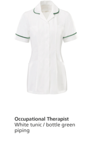 013-Occupational-Therapist.png