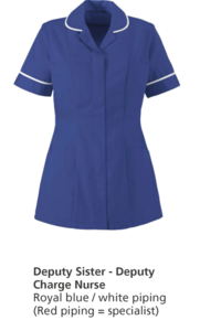 004-Deputy-Sister-Deputy-Charge-Nurse.png